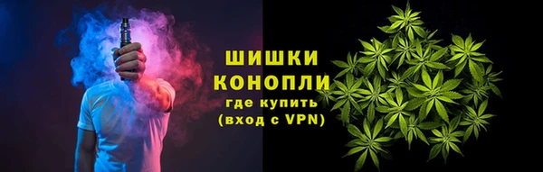 дживик Липки