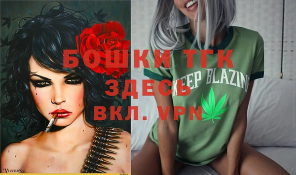 дживик Липки