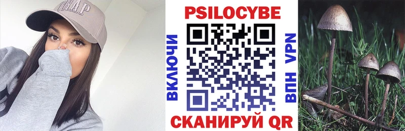 Купить  Морозовск  Псилоцибиновые грибы Magic Shrooms 
